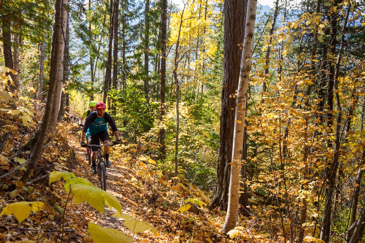 Fall biking on Hyper Vent Trail - Image: Nick Nault