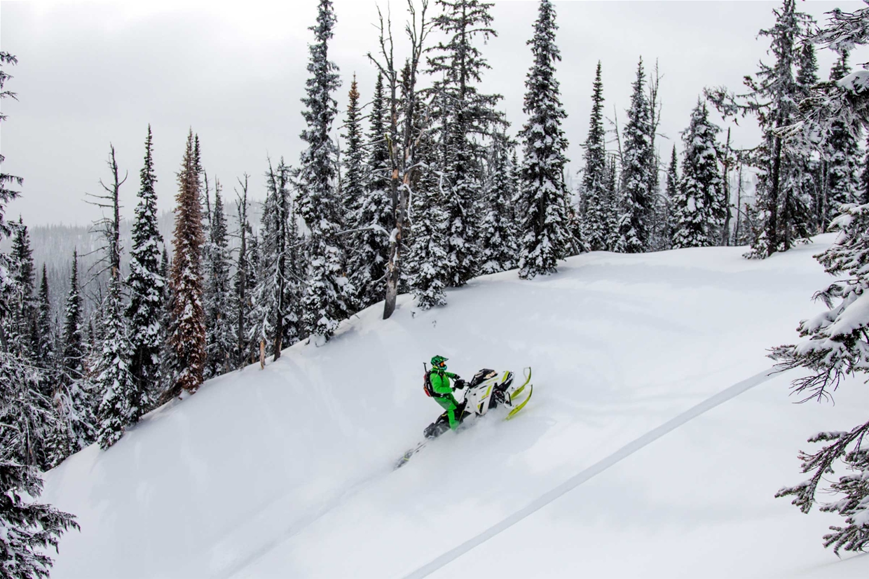 12 Reasons to Snowmobile in Fernie, BC