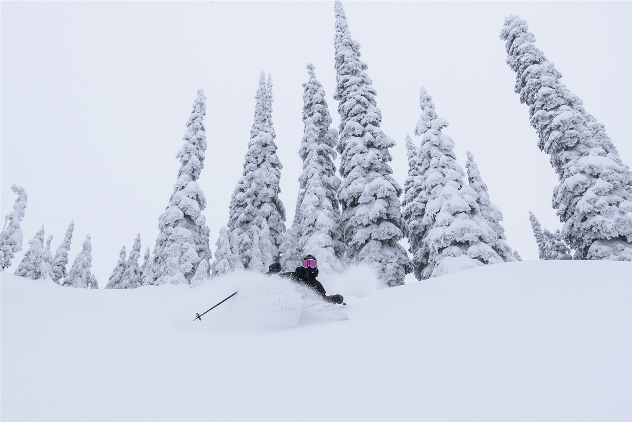 Pow Days at Fernie Alpine Resort - Nick Nault Photo