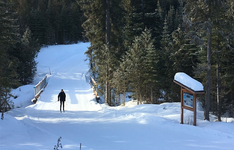 XC Trails at the Elk Valley Nordic Centre in Fernie 
