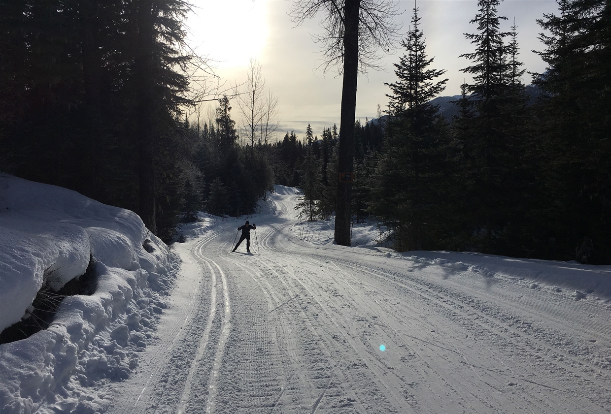 Trails at the Elk Valley Nordic Centre in Fernie 