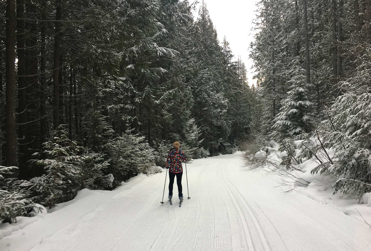 Cross-country skiing at Fernie Alpine Resort XC Trails