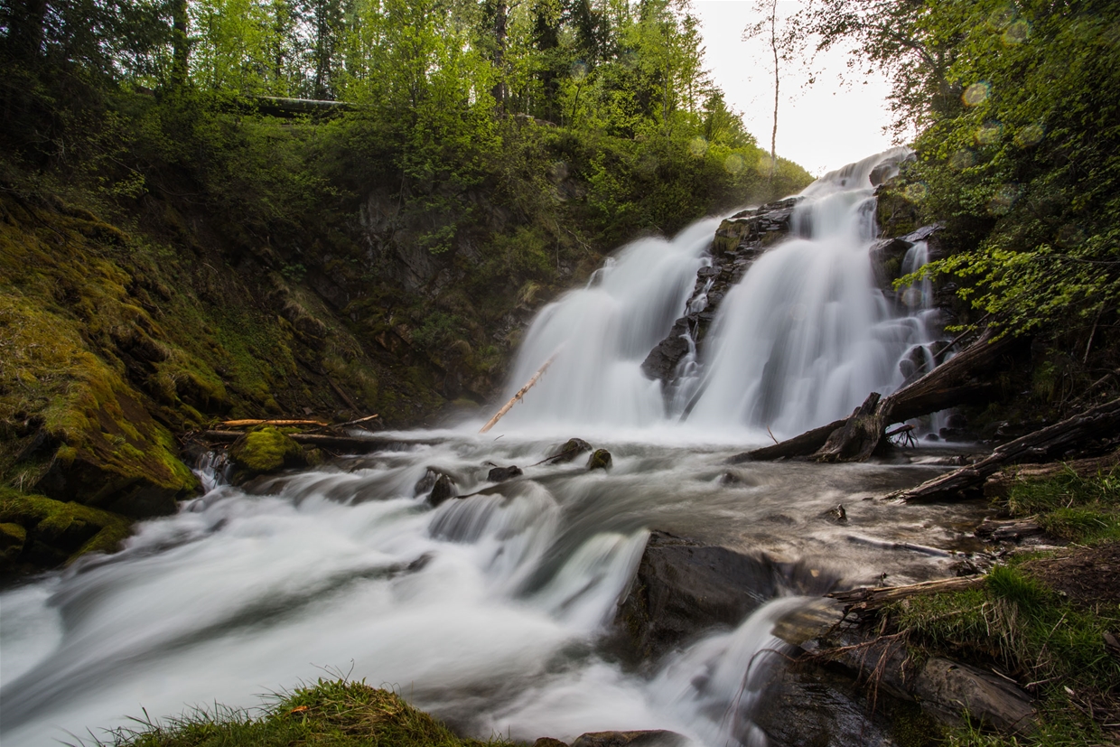 Fairy Creek Falls - Spring