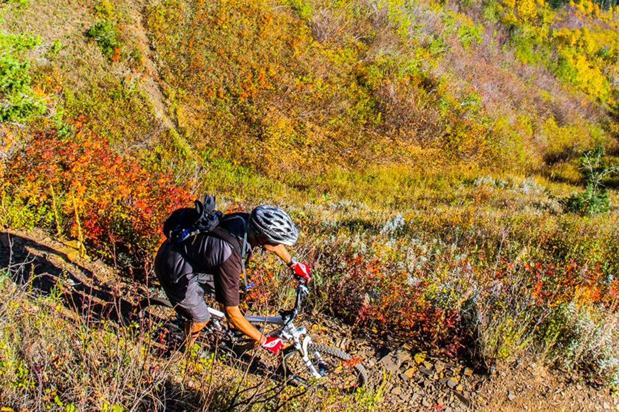 Fall mountain biking in Fernie, BC