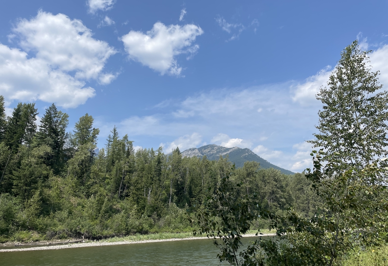 3:00pm Saturday July 27th along the Elk River in Fernie