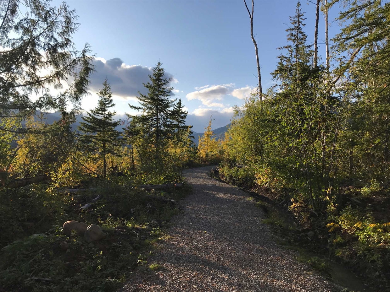 Montane Inclusive Trail