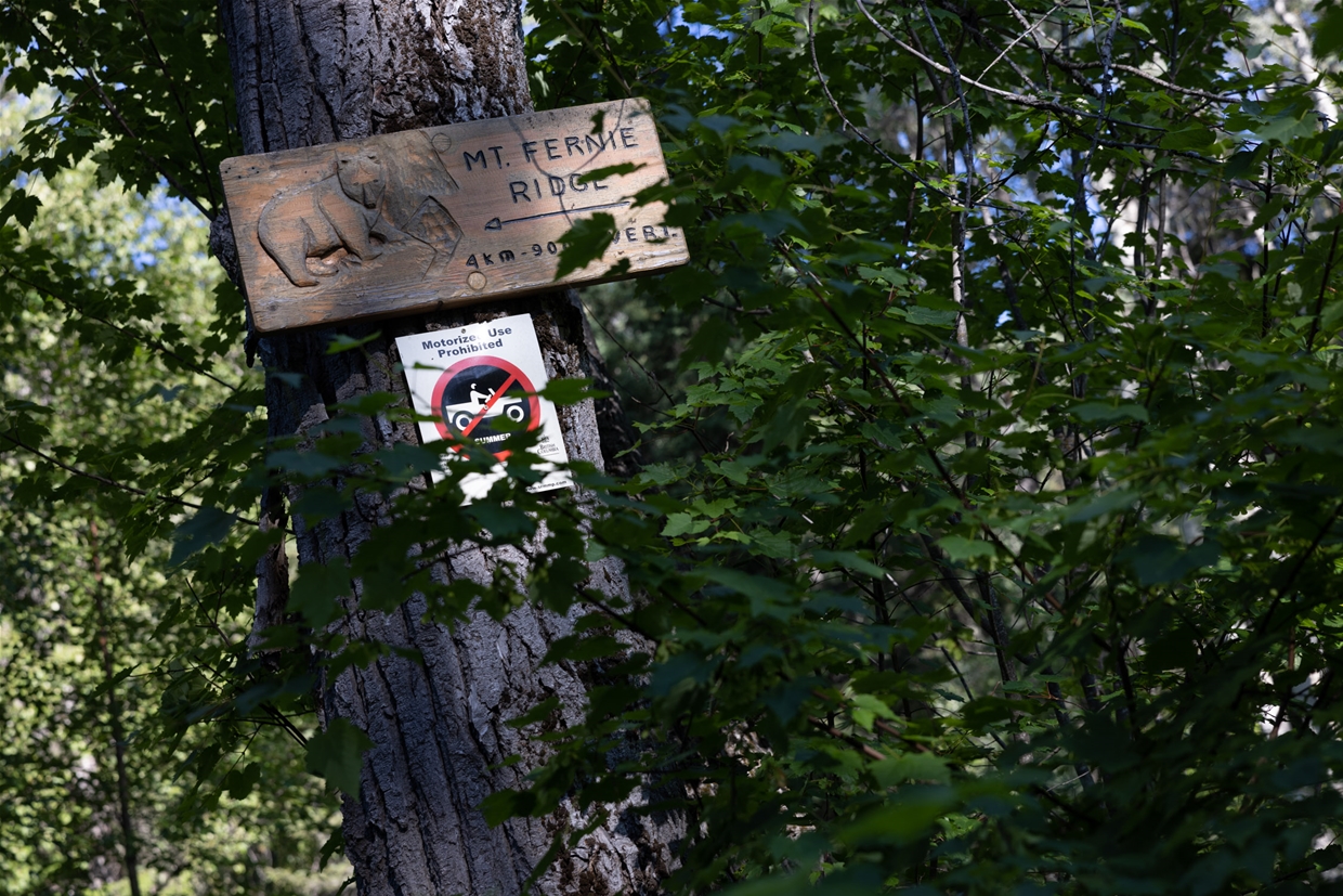 Trail signage to Mount Fernie Ridge