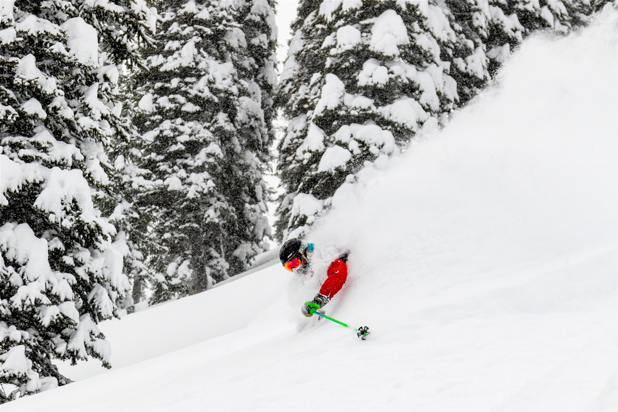 Powder day at Fernie Alpine Resort
