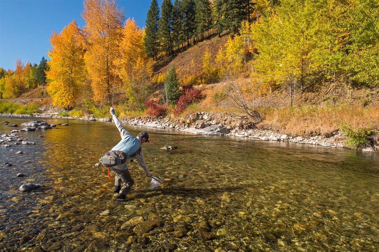 Fly Fishing the Elk River in Fernie BC - Experience Fernie Trout Town