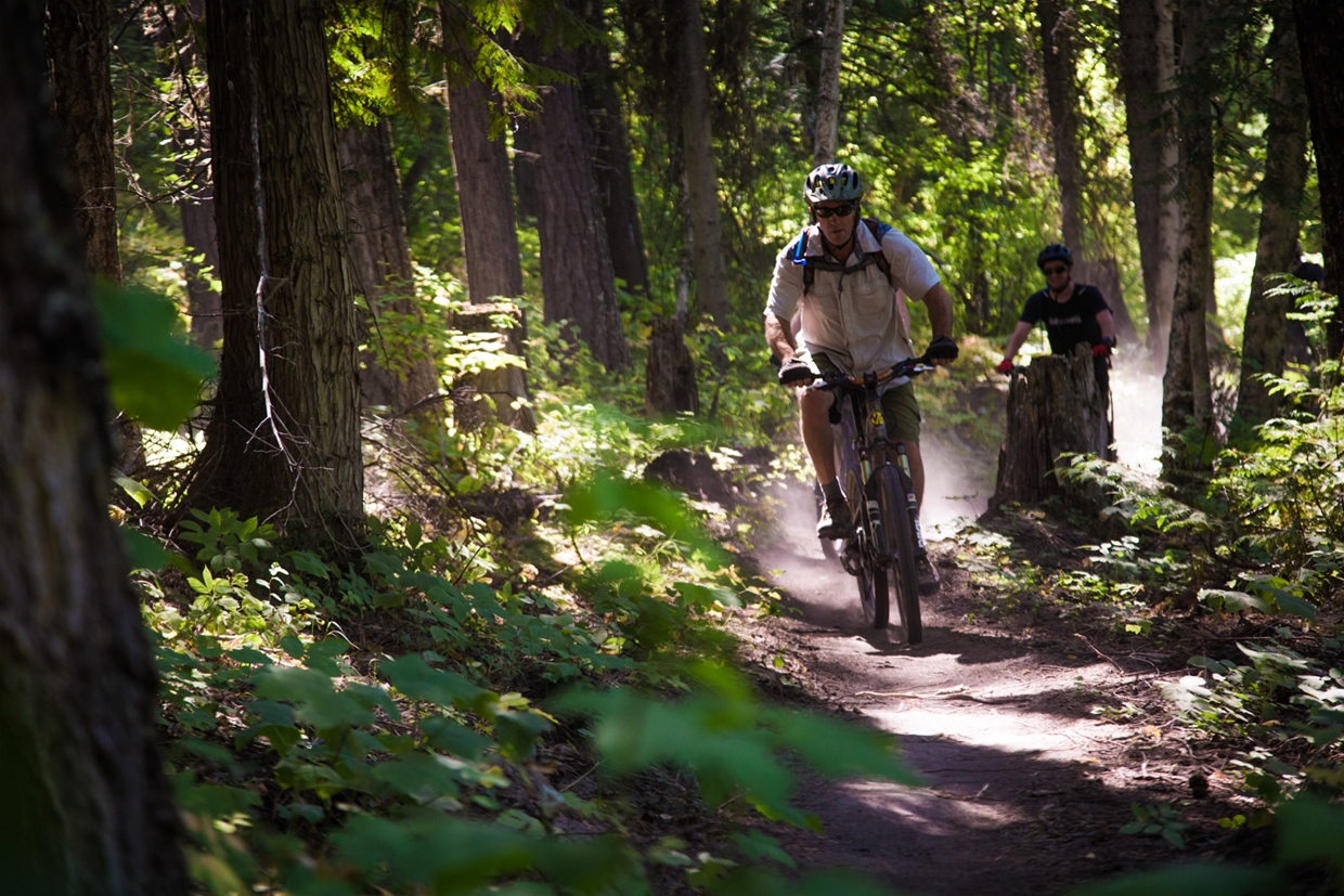 Existing singletrack trails such as the Coal Discovery Trail were integrated into the Elk Valley Trail