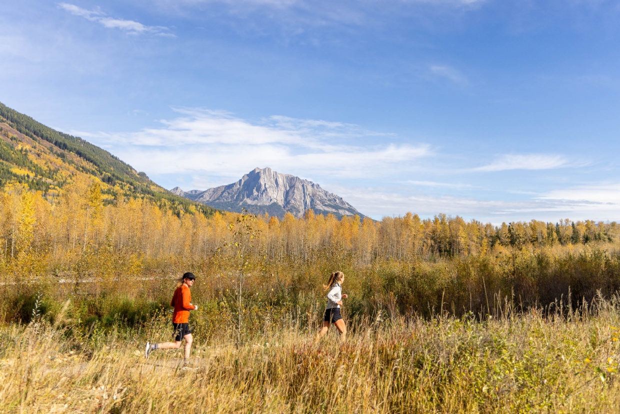 Run through Fernie's golden landscape