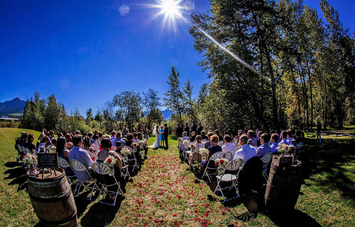 A wedding ceremony in Annex Park