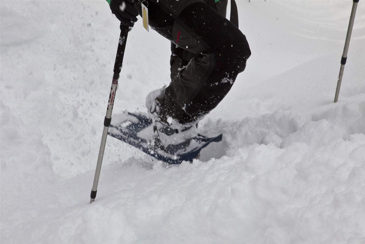 Snowshoeing around Fernie BC