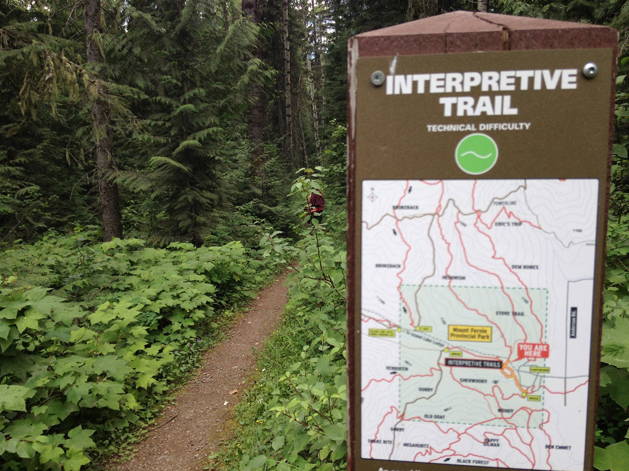 Mount Fernie Provincial Park - Trails