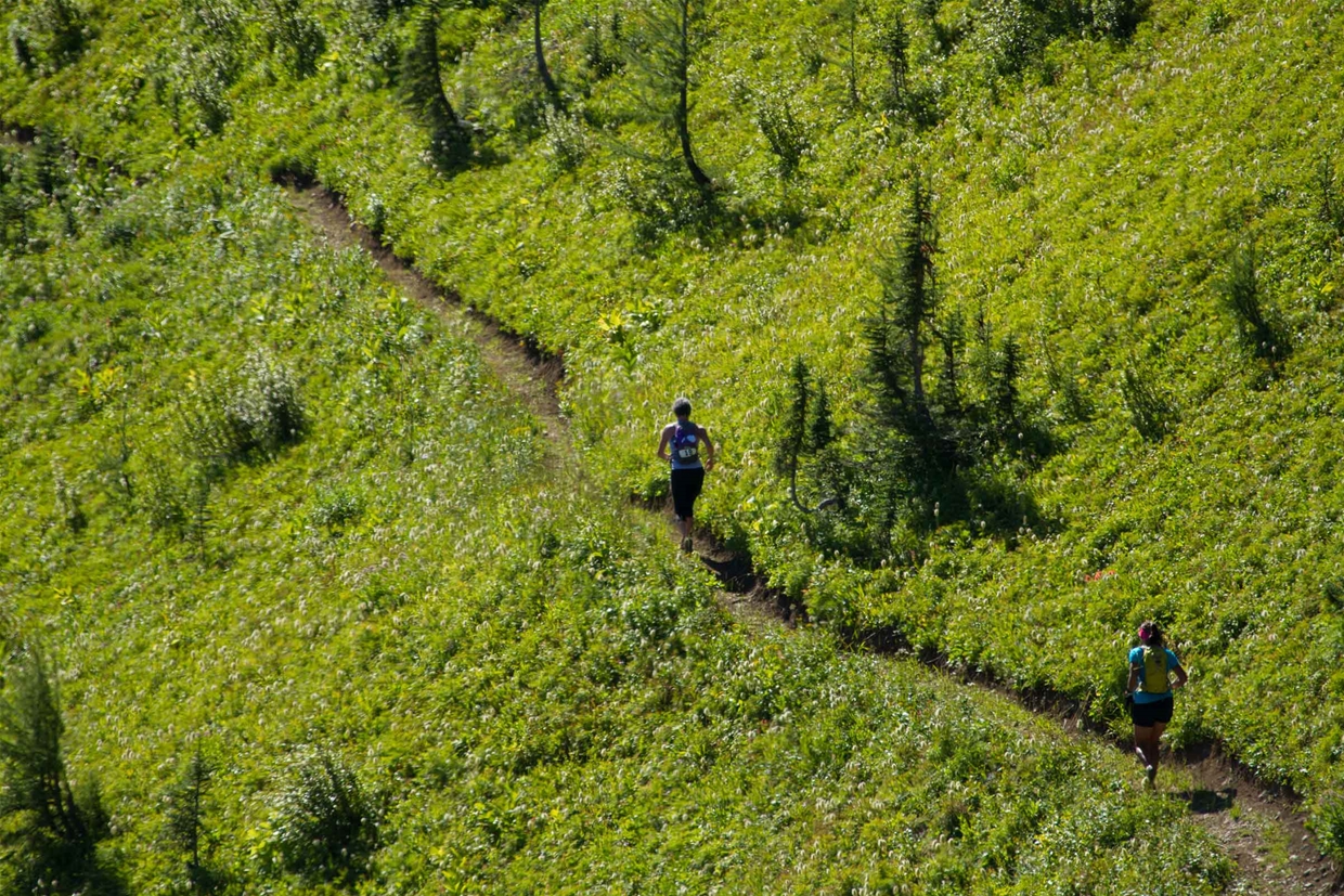 Trail running in and around Fernie