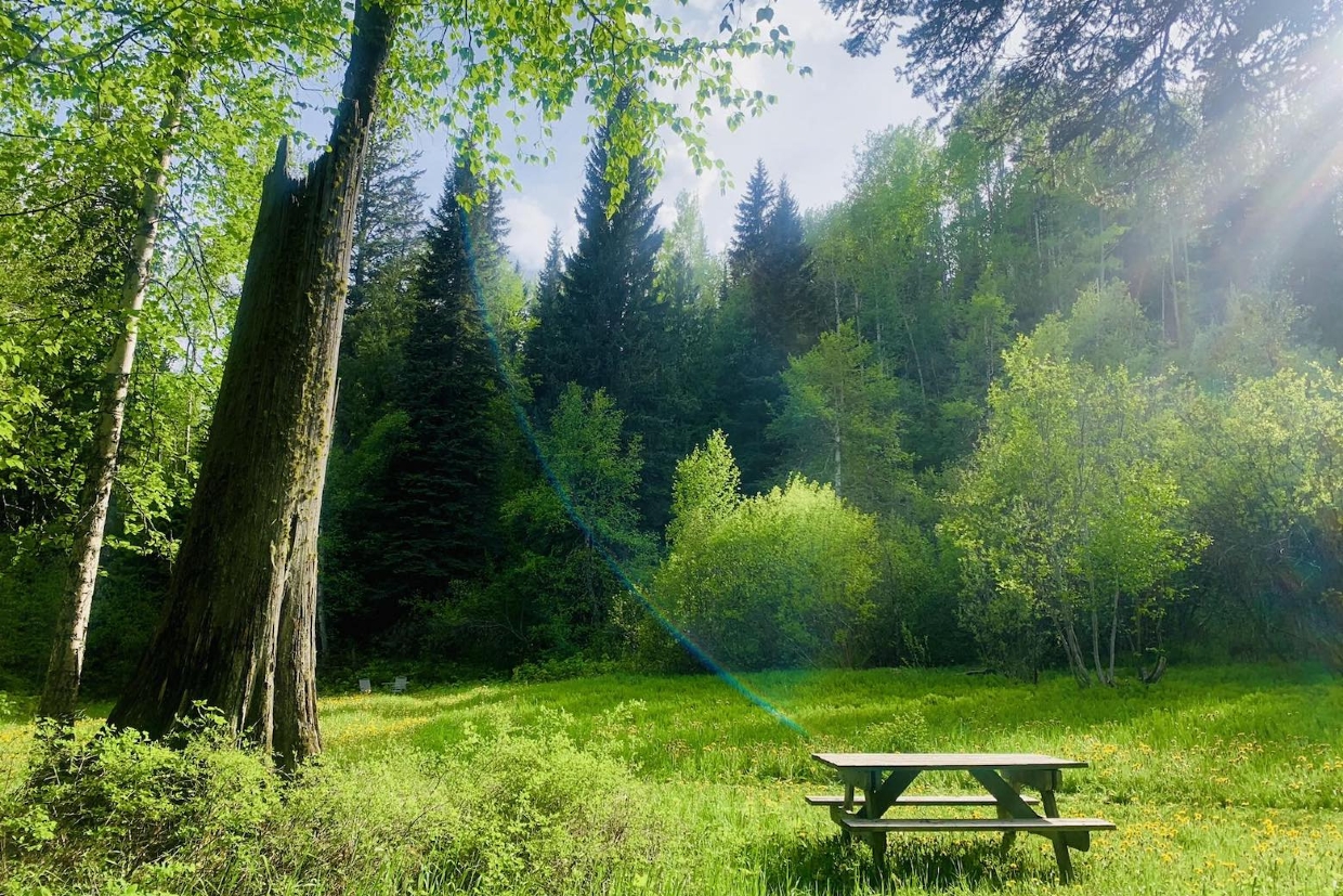 Sit for a while in the beautiful meadows and enjoy the sounds of nature