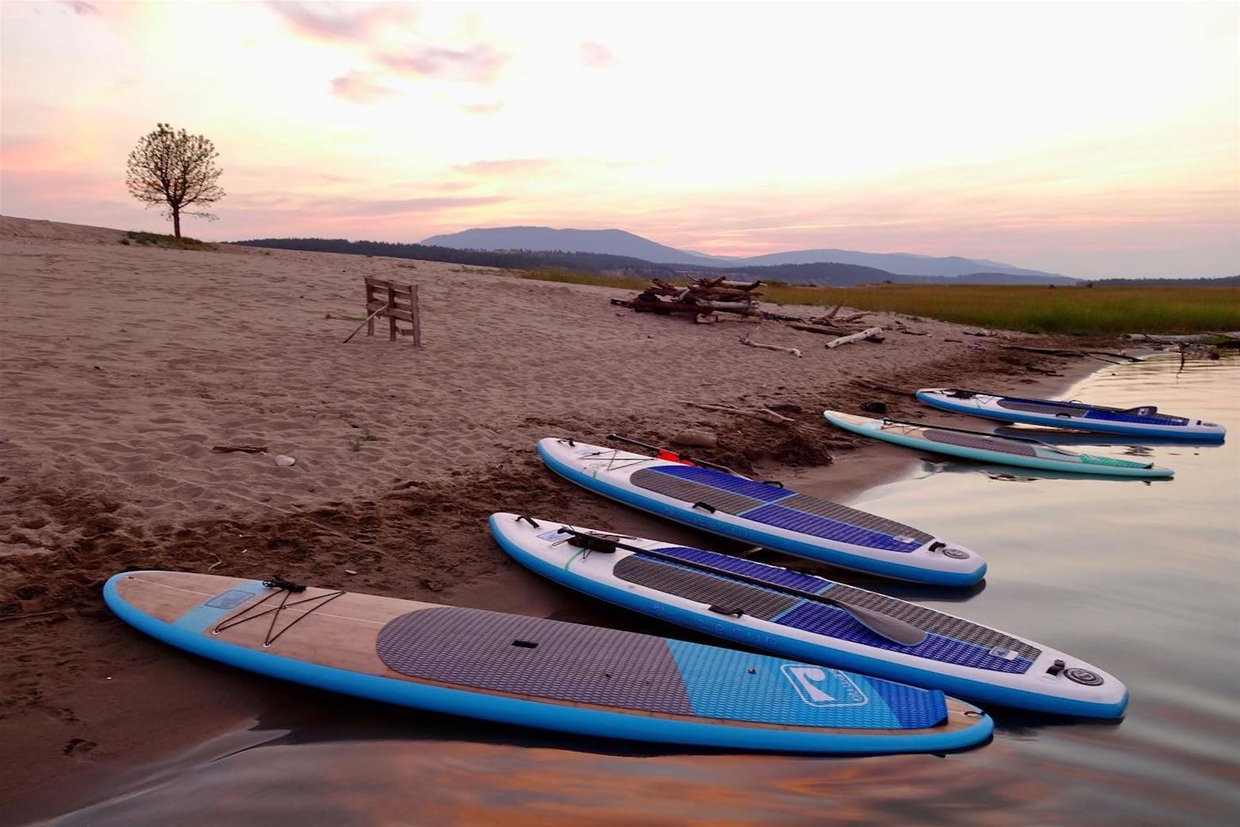 Paddleboard rentals available - many local lakes nearby