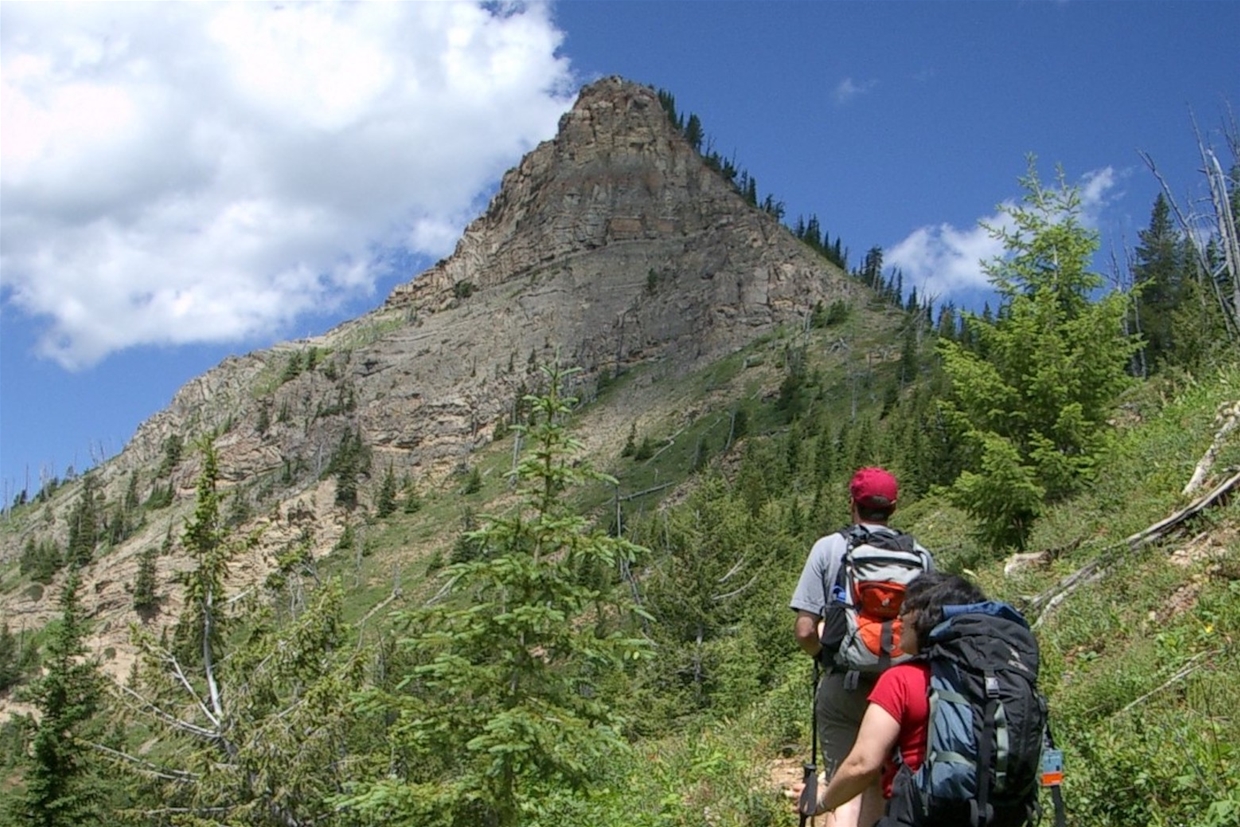 Explore the mountains with Hike Fernie