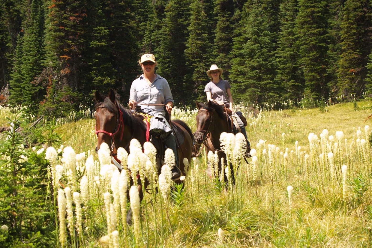 Experienced guides and surefooted horses for a comfortable, relaxing experience