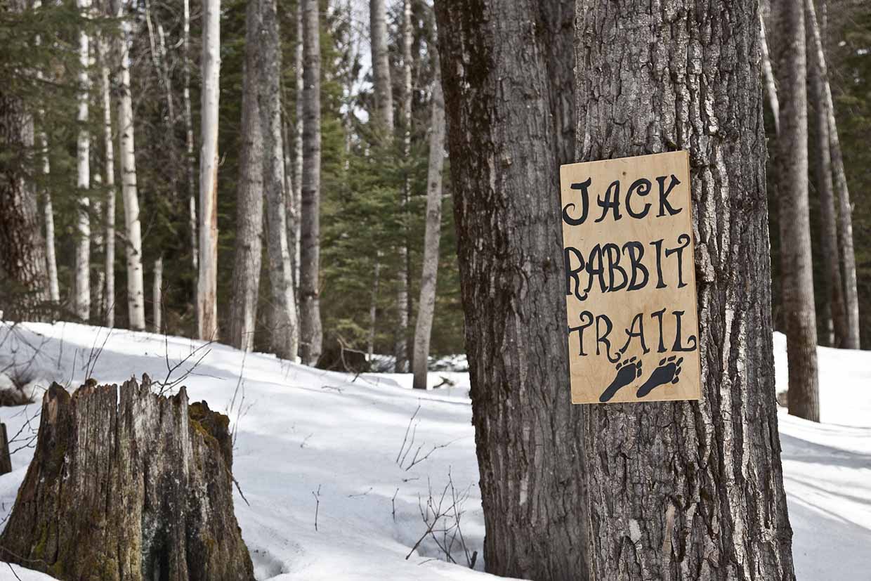 Jack Rabbit Trail 