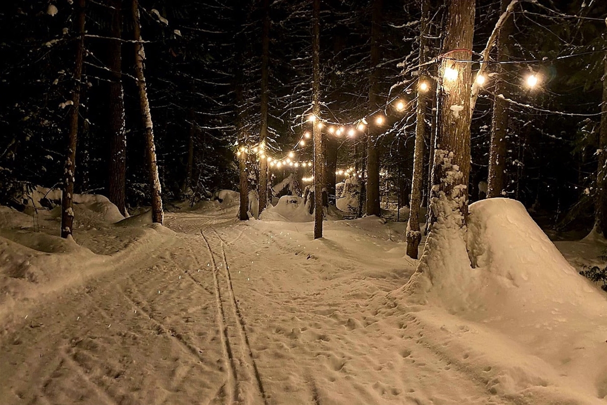 Illuminated Short Loop at the Elk Valley Nordic Centre