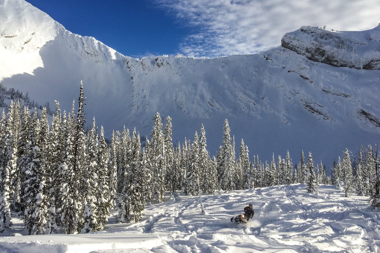 Spectacular riding for all abilities