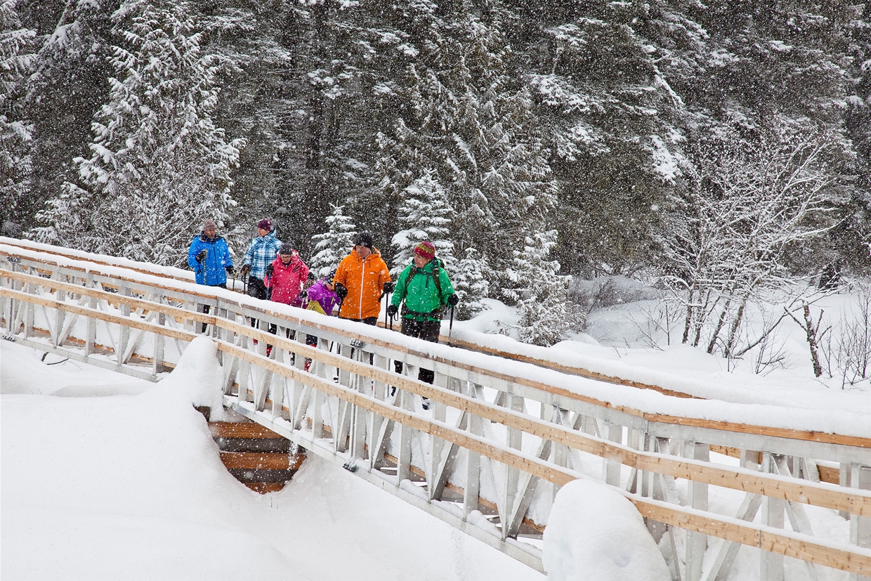 Snowshoeing with Wild Nature Tours