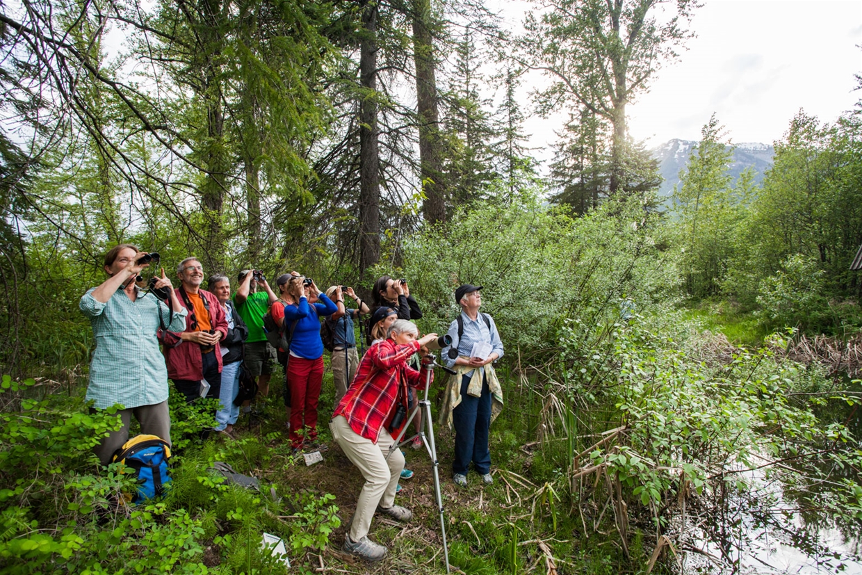 Birding & Wildlife Viewing with Wild Nature Tours