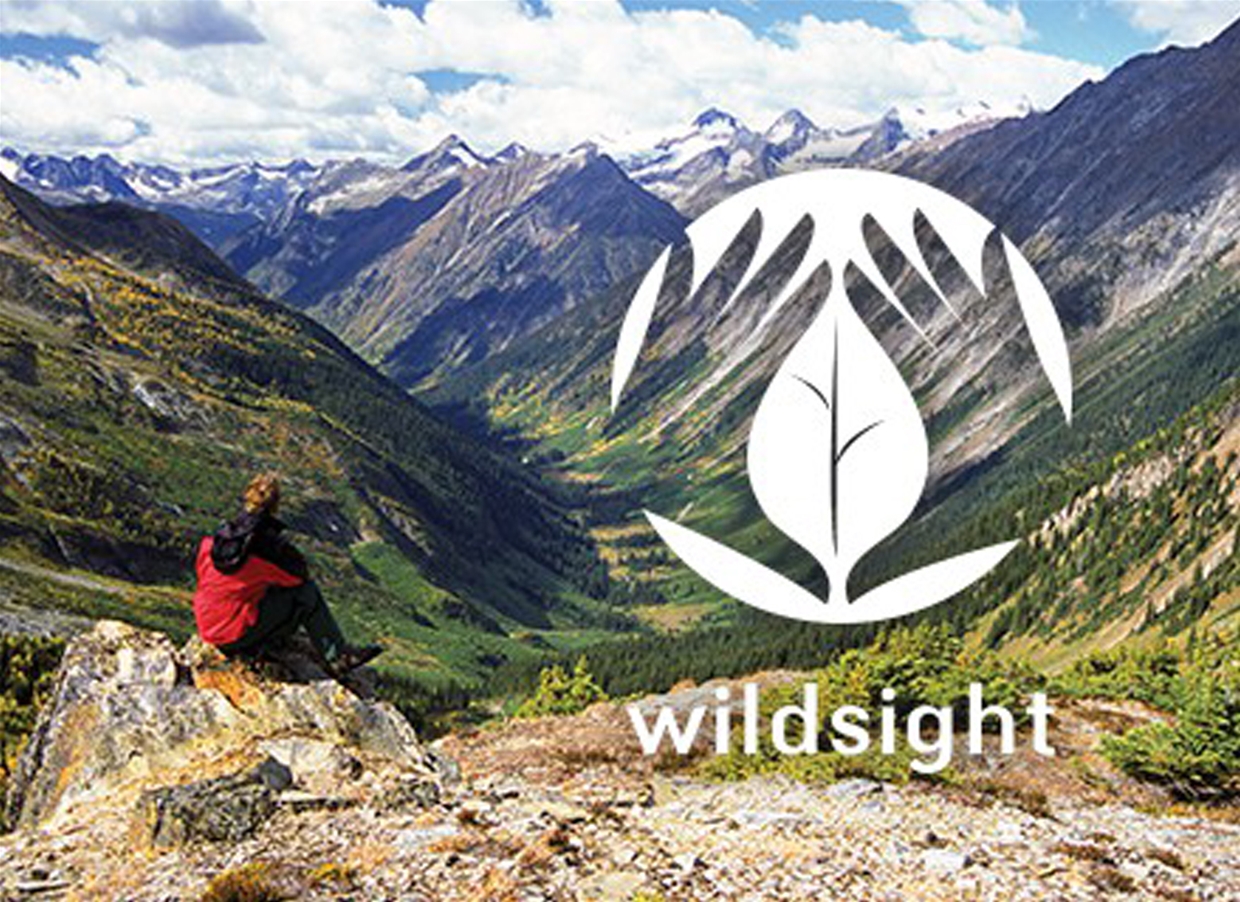 wildsight logo