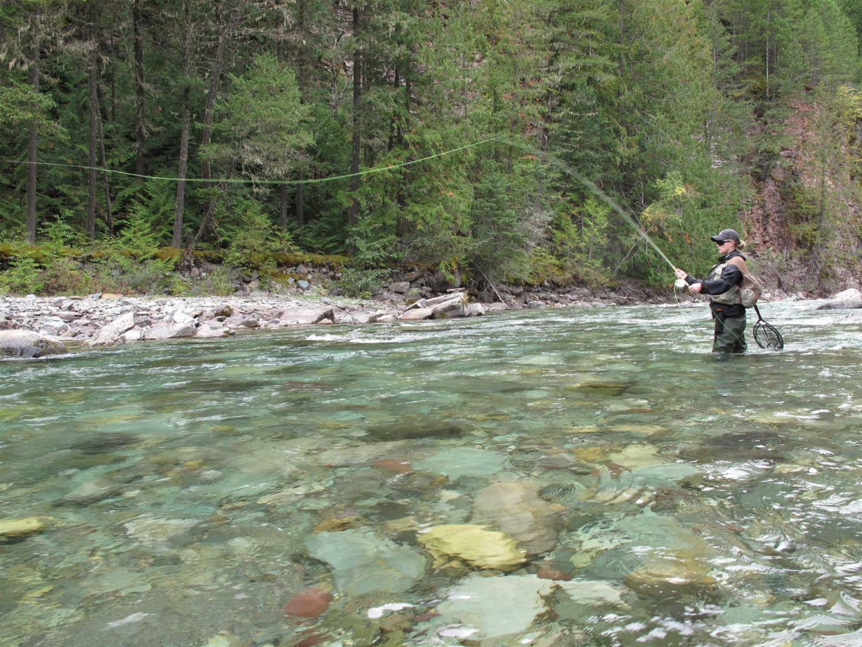 Fly fishing in Fernie British Columbia